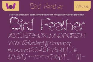 Bird Feather Font for Elegant Editorial Design