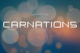 Carnations Display Font for Modern Branding