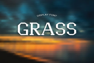 Grass: A Bold Serif Display Font for Standout Branding